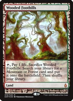 Wooded Foothills #19 (Zendikar Expeditions)